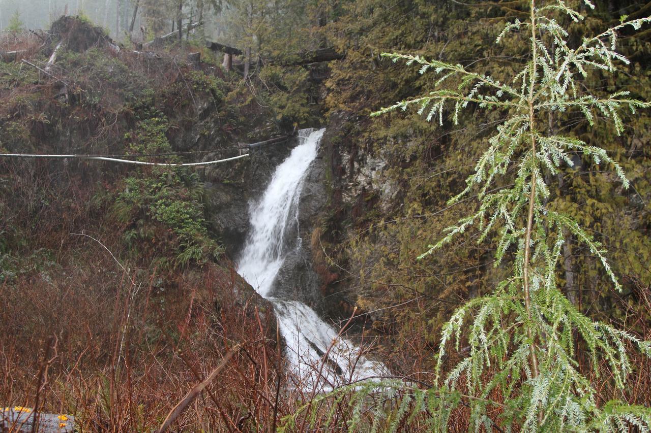 Tilby'S Rainbow Cottage Port Renfrew Luaran gambar