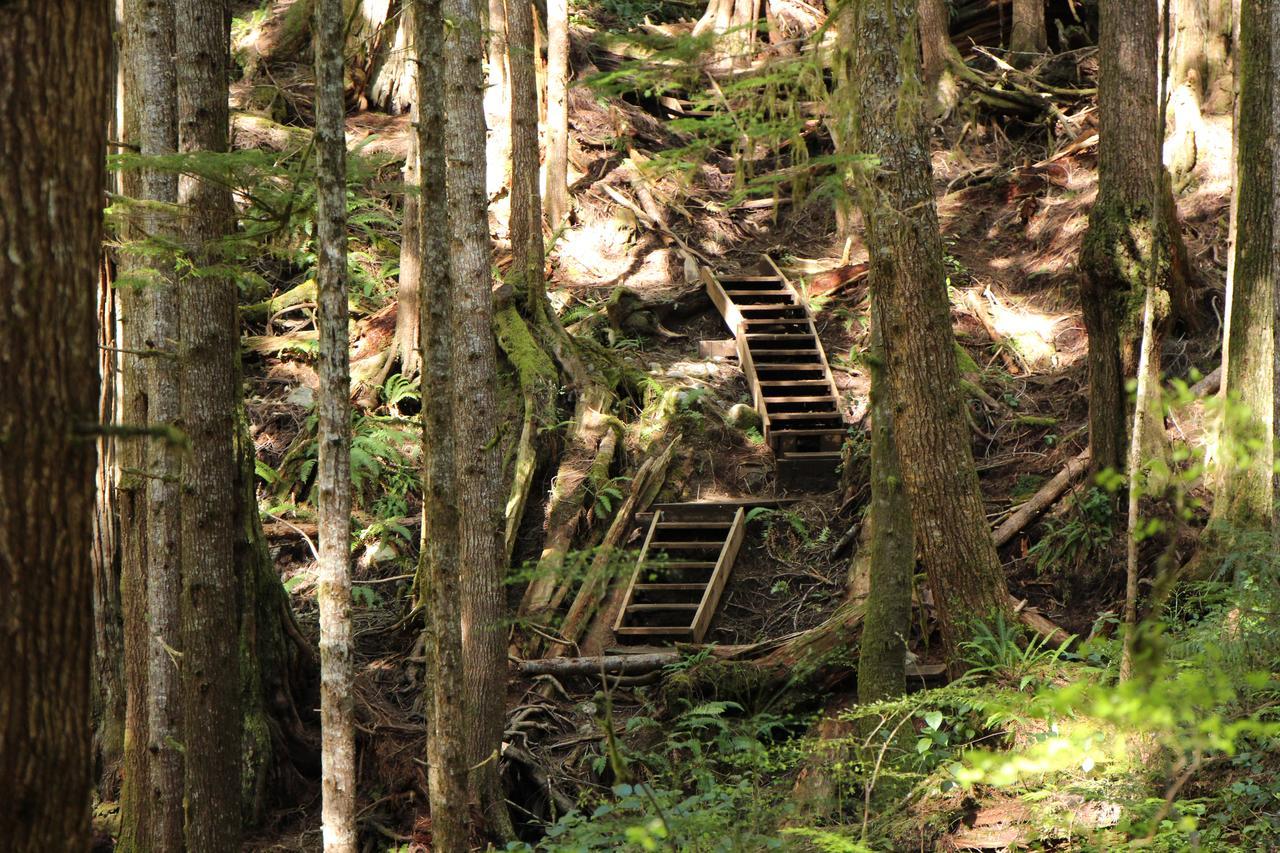 Tilby'S Rainbow Cottage Port Renfrew Luaran gambar