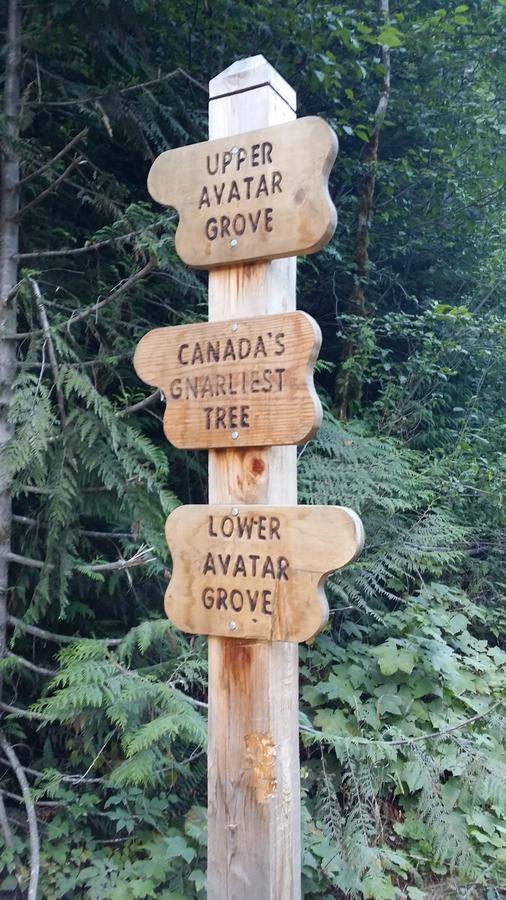 Tilby'S Rainbow Cottage Port Renfrew Luaran gambar