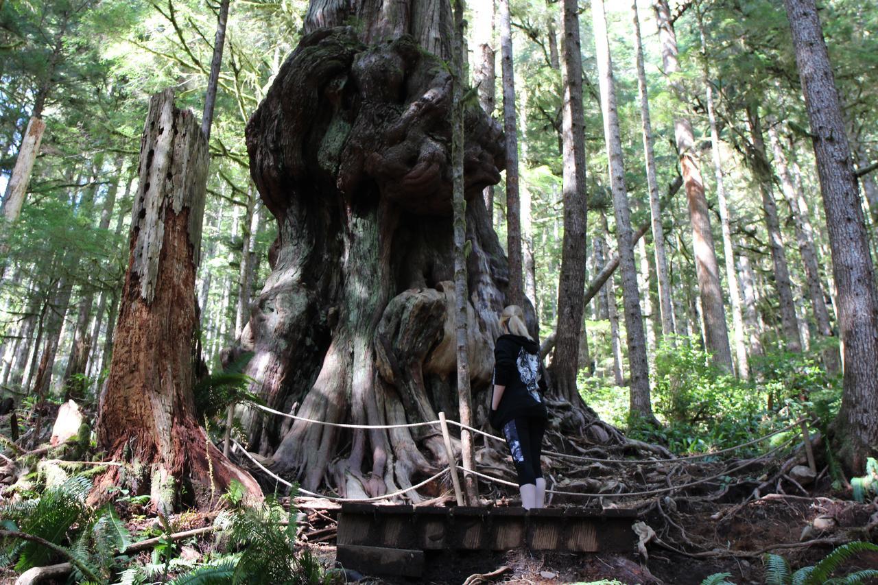 Tilby'S Rainbow Cottage Port Renfrew Luaran gambar
